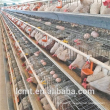 Poulailler spécial galvanisé A type cage à poules pondeuses